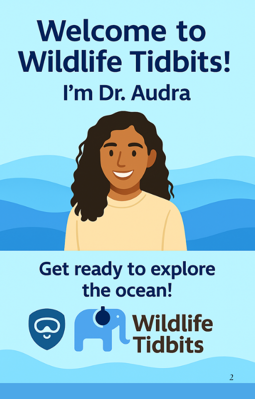 Ocean eBook (Digital Download)