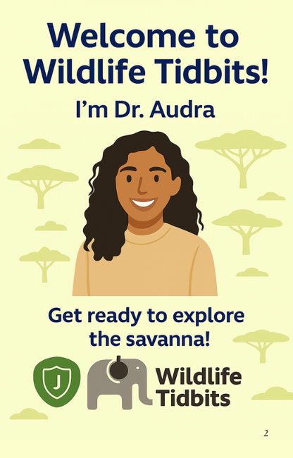 Savannah eBook (Digital Download)